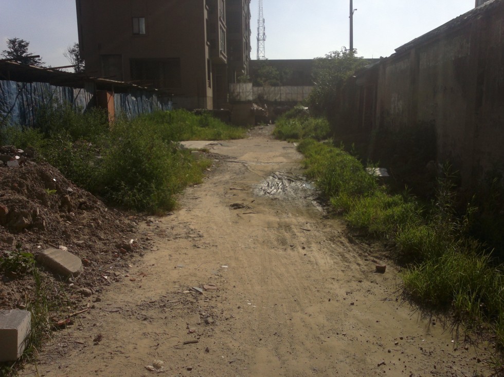 20120731294.jpg