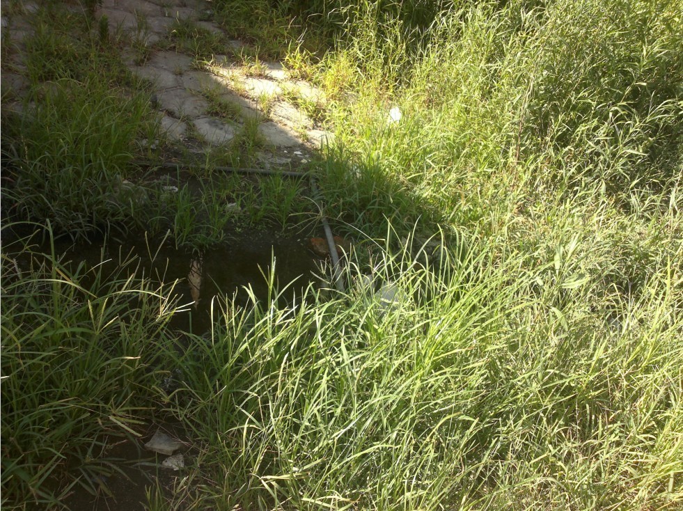 20120731299.jpg
