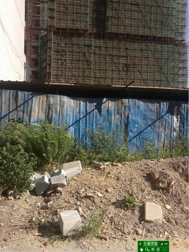 20120731298.jpg