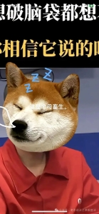 ĸ.jpg